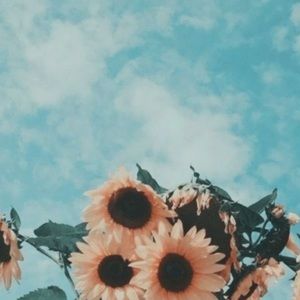 Meet your Posher, Anneliese